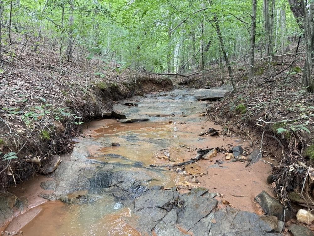 Unimproved Land at 0 Mountain View Road, Germanton NC 27019, Germanton, photo 16 of 21