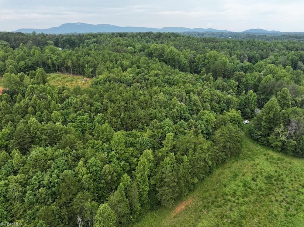 Unimproved Land at 0 Mountain View Road, Germanton NC 27019, Germanton, photo 12 of 21