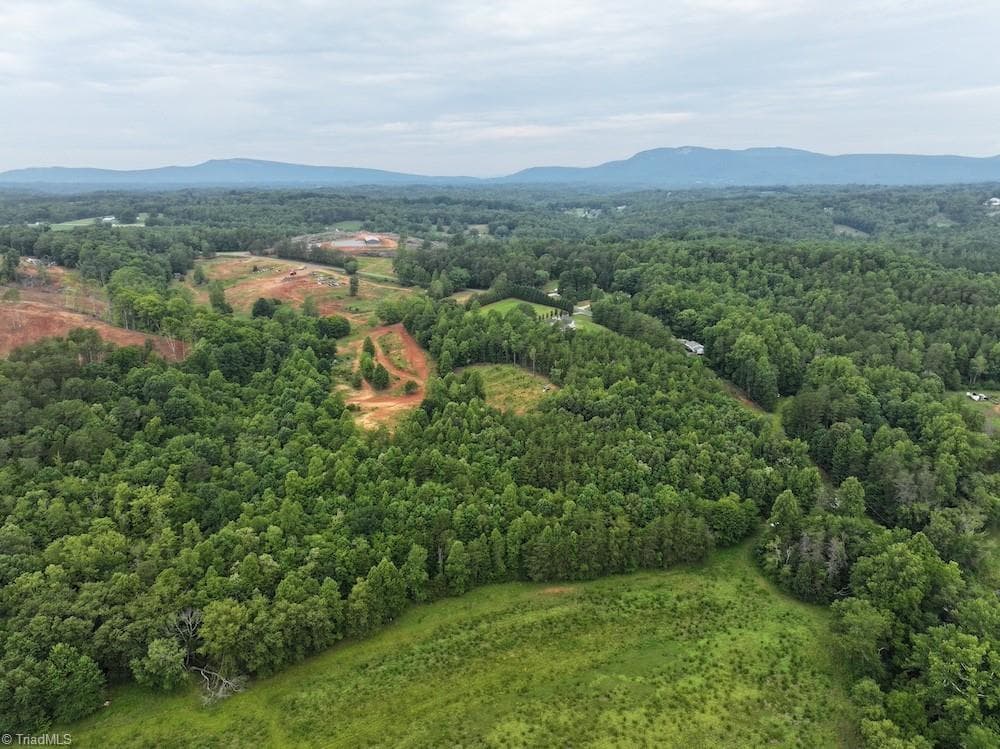 Unimproved Land at 0 Mountain View Road, Germanton NC 27019, Germanton, photo 3 of 21