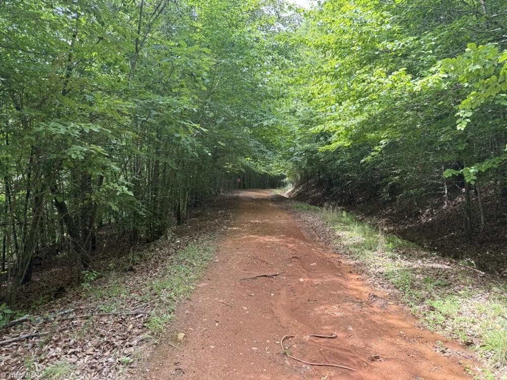 Unimproved Land at 0 Mountain View Road, Germanton NC 27019, Germanton, photo 14 of 21