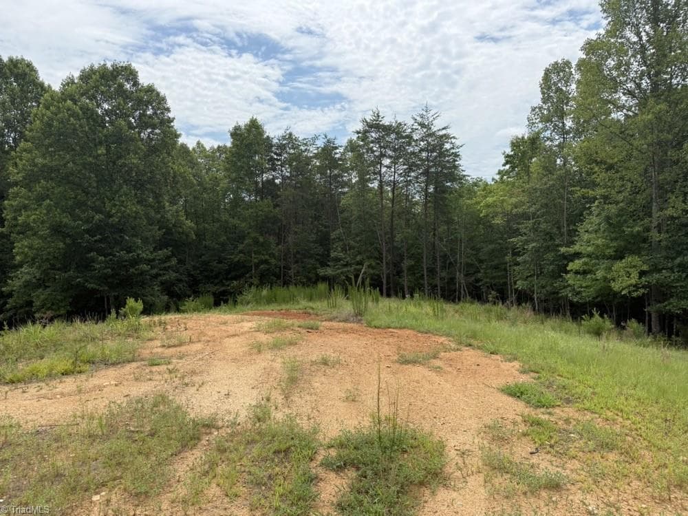 Unimproved Land at 0 Mountain View Road, Germanton NC 27019, Germanton, photo 18 of 21
