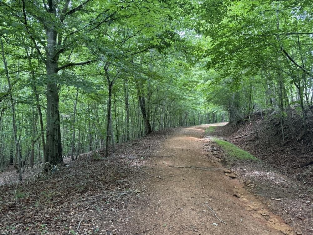 Unimproved Land at 0 Mountain View Road, Germanton NC 27019, Germanton, photo 15 of 21