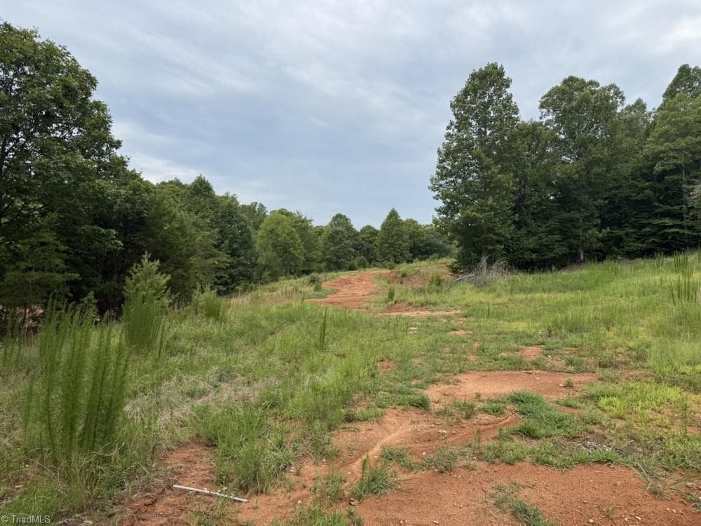 Unimproved Land at 0 Mountain View Road, Germanton NC 27019, Germanton, photo 19 of 21