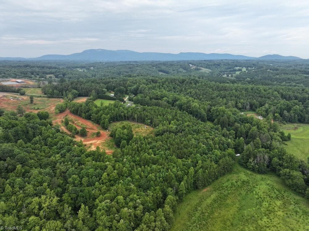 Unimproved Land at 0 Mountain View Road, Germanton NC 27019, Germanton, photo 4 of 21