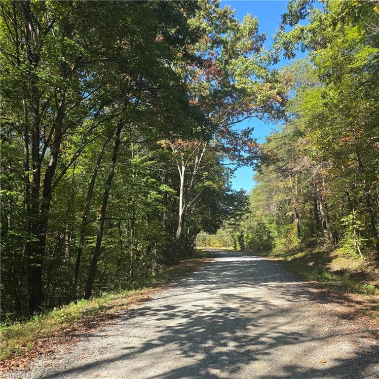 Unimproved Land at 00 Power Dam Road, Walnut Cove NC 27052, photo 2 of 9