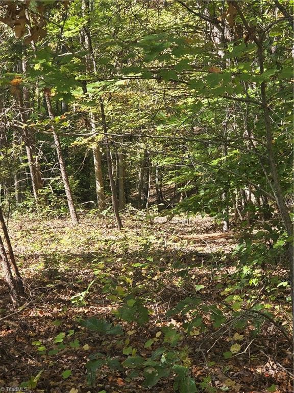 Unimproved Land at 00 Power Dam Road, Walnut Cove NC 27052, photo 6 of 9