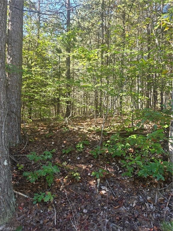Unimproved Land at 00 Power Dam Road, Walnut Cove NC 27052, photo 7 of 9