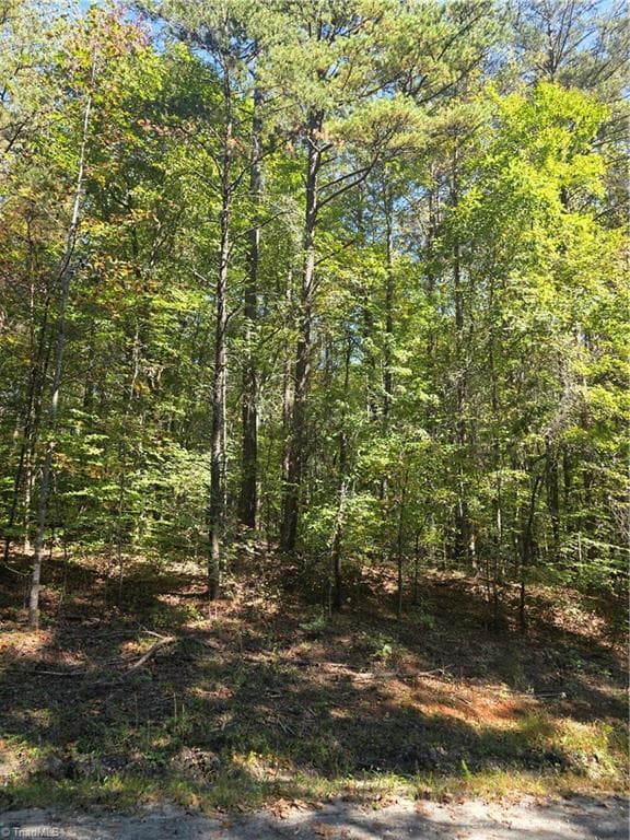 00 Power Dam Road, Walnut Cove NC 27052