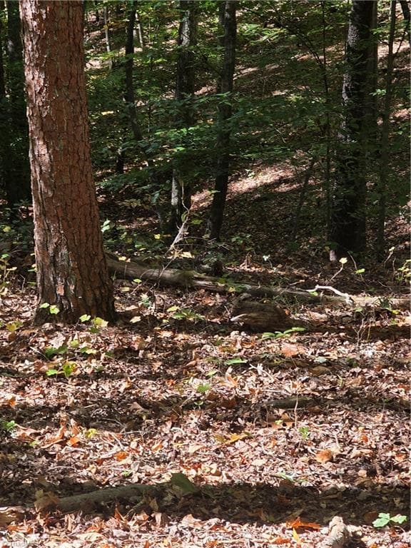 Unimproved Land at 00 Power Dam Road, Walnut Cove NC 27052, photo 5 of 9
