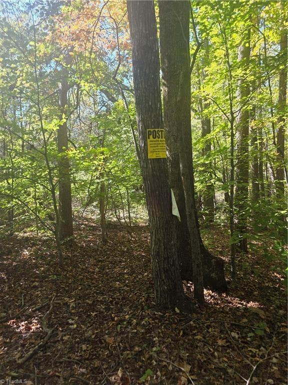 Unimproved Land at 00 Power Dam Road, Walnut Cove NC 27052, photo 9 of 9