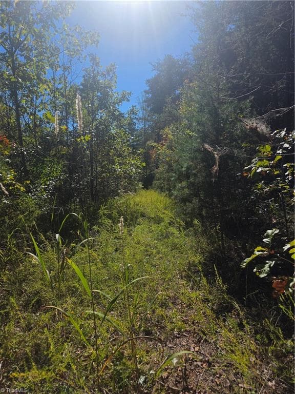 Unimproved Land at 00 Power Dam Road, Walnut Cove NC 27052, photo 8 of 9