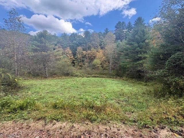 TBD Caseys Branch Road, Purlear NC 28665