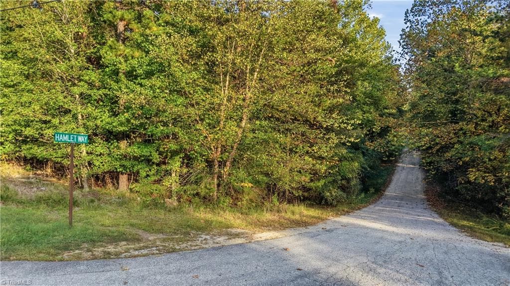 133 Hamlet Way, Reidsville NC 27320