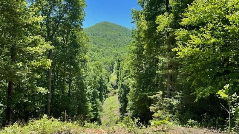 1629 White Rock Road, Cullowhee NC 28723
