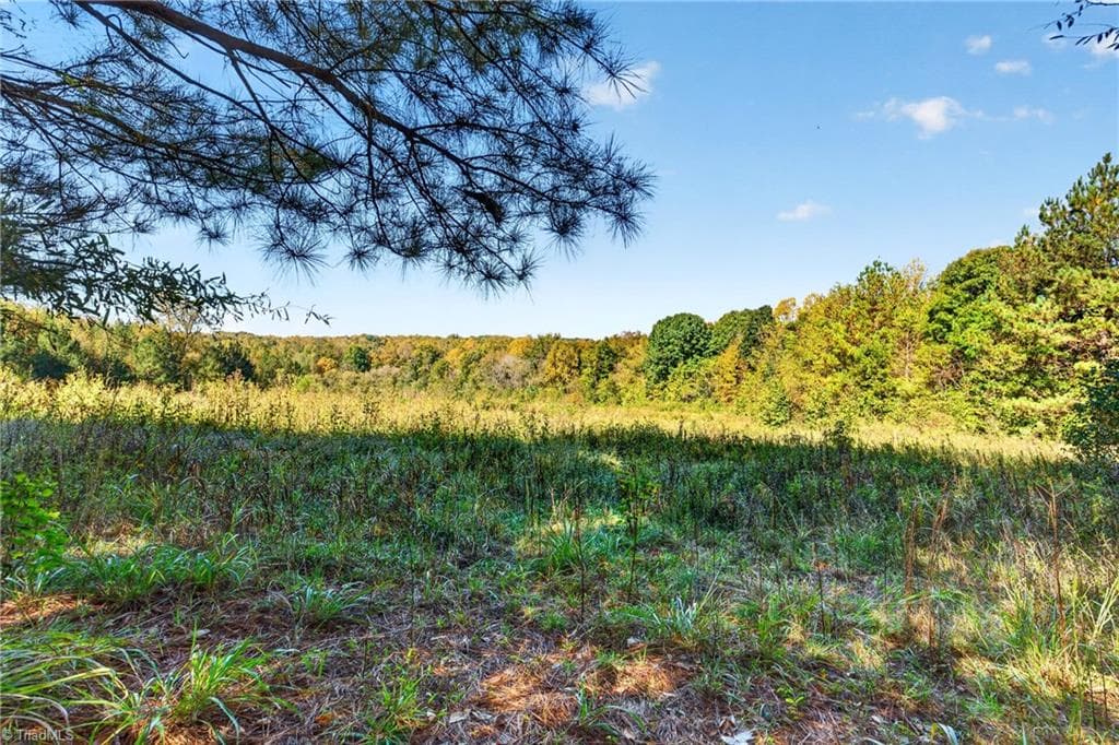 Single Family Residence at 2347 Clacie Lane, Liberty NC 27298, photo 38 of 50