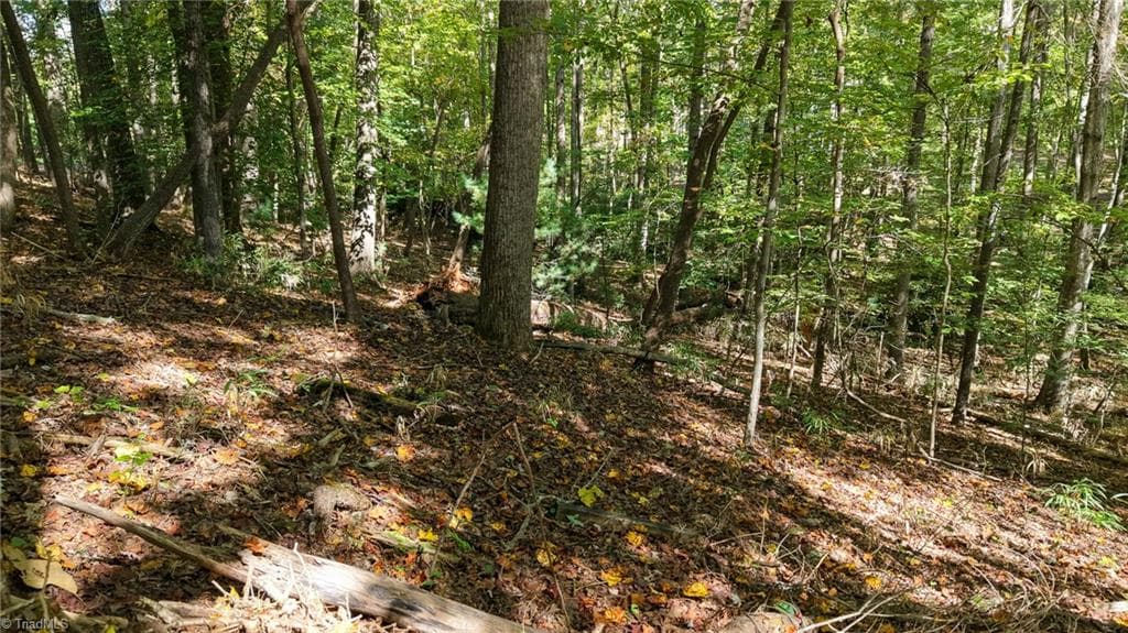 Single Family Residence at TBD Woodland Drive, Elkin NC 28621, photo 6 of 27