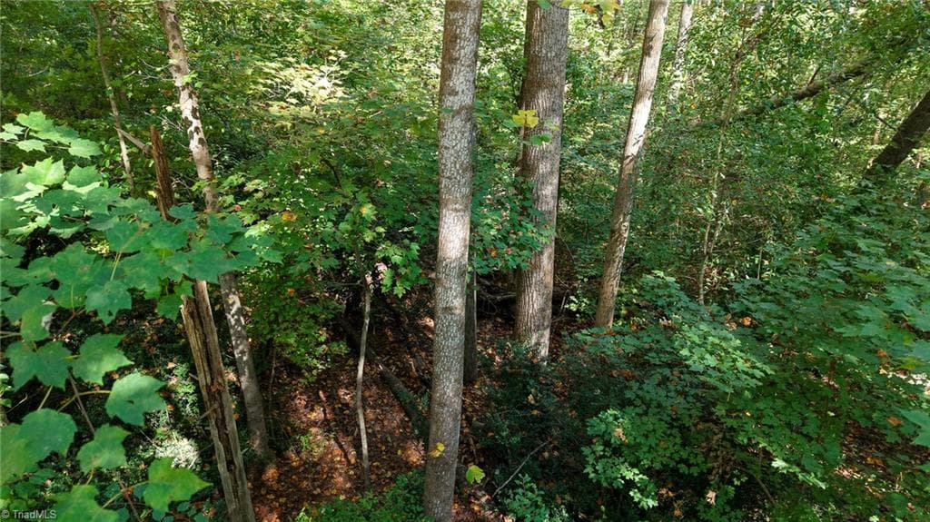 Single Family Residence at TBD Woodland Drive, Elkin NC 28621, photo 12 of 27