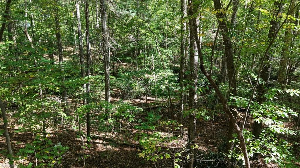 Single Family Residence at TBD Woodland Drive, Elkin NC 28621, photo 5 of 27