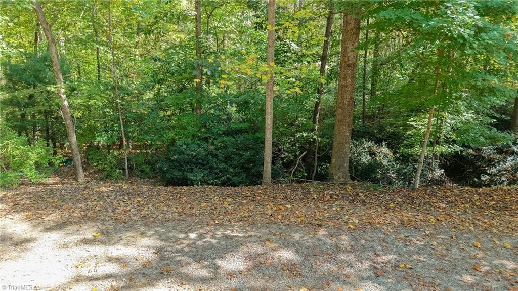 Single Family Residence at TBD Woodland Drive, Elkin NC 28621, photo 10 of 27