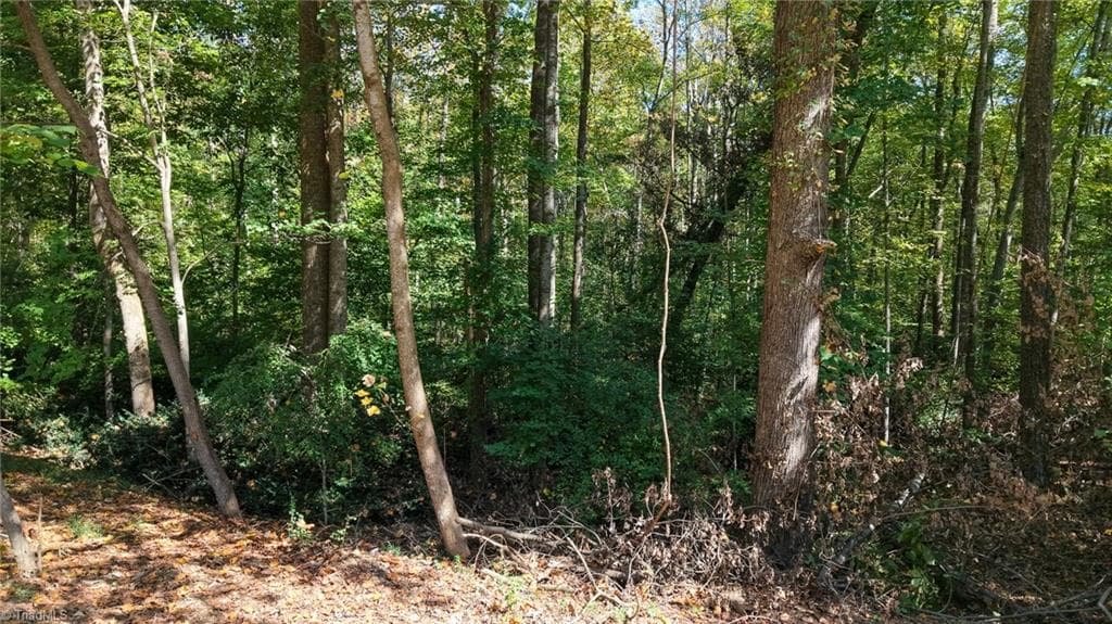 Single Family Residence at TBD Woodland Drive, Elkin NC 28621, photo 8 of 27