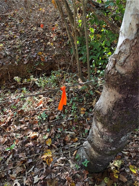Unimproved Land at 2211 High Rock Road, Boomer NC 28606, photo 6 of 6