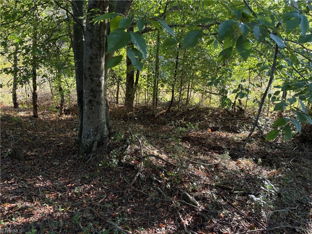Unimproved Land at 2211 High Rock Road, Boomer NC 28606, photo 4 of 6
