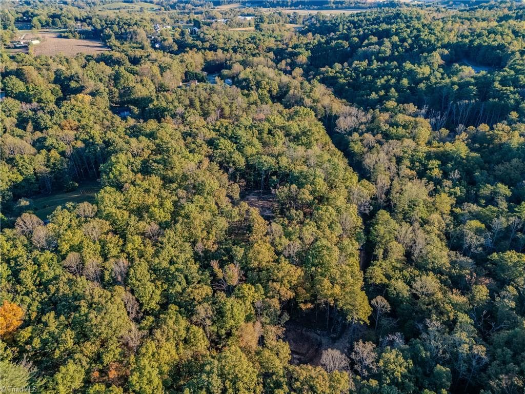 Single Family Residence at TBD Oak Ridge Drive, Mount Airy NC 27030, photo 11 of 16