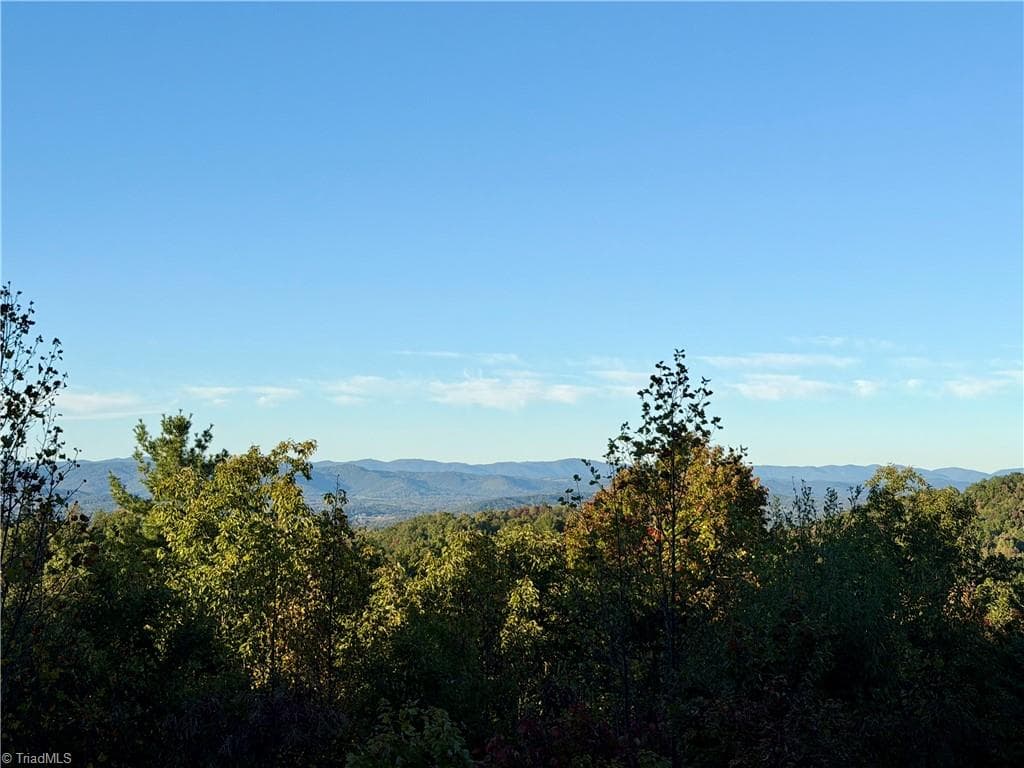 Stick/Site Built at 196 Pisgah Lane, Boomer NC 28606, photo 24 of 27
