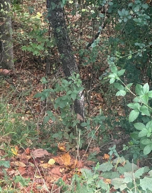 Lot 115 Monk Court, North Wilkesboro NC 28659