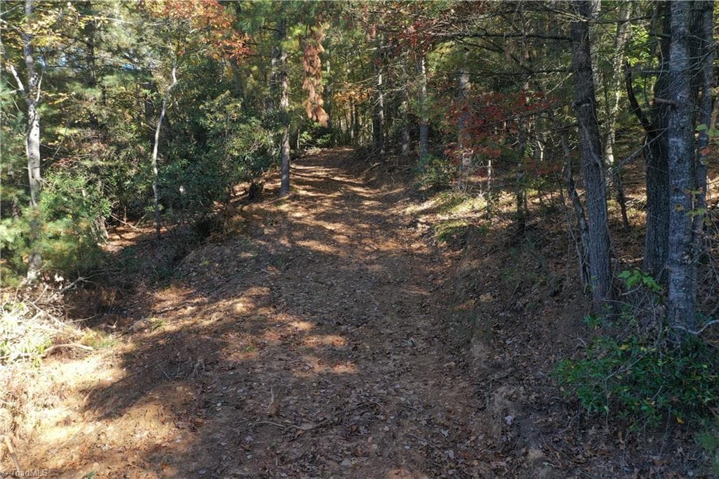 Unimproved Land at 000 NC Highway 16 S, Jefferson NC 28640, photo 2 of 25