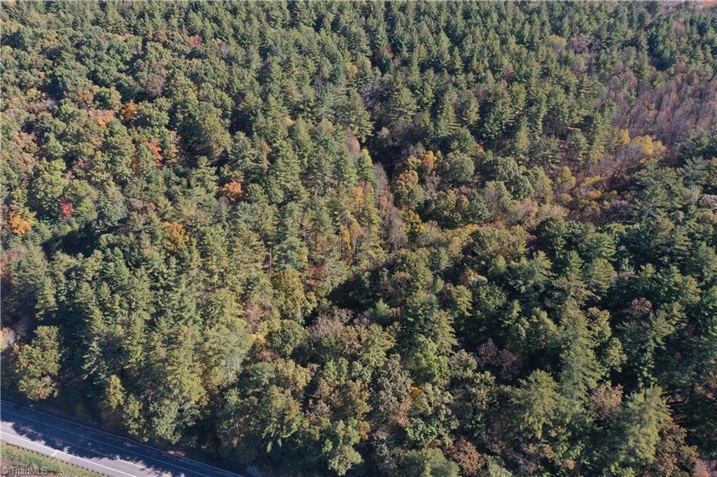 Unimproved Land at 000 NC Highway 16 S, Jefferson NC 28640, photo 6 of 25