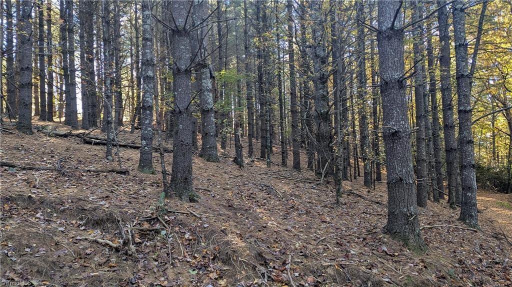 Unimproved Land at 000 NC Highway 16 S, Jefferson NC 28640, photo 17 of 25