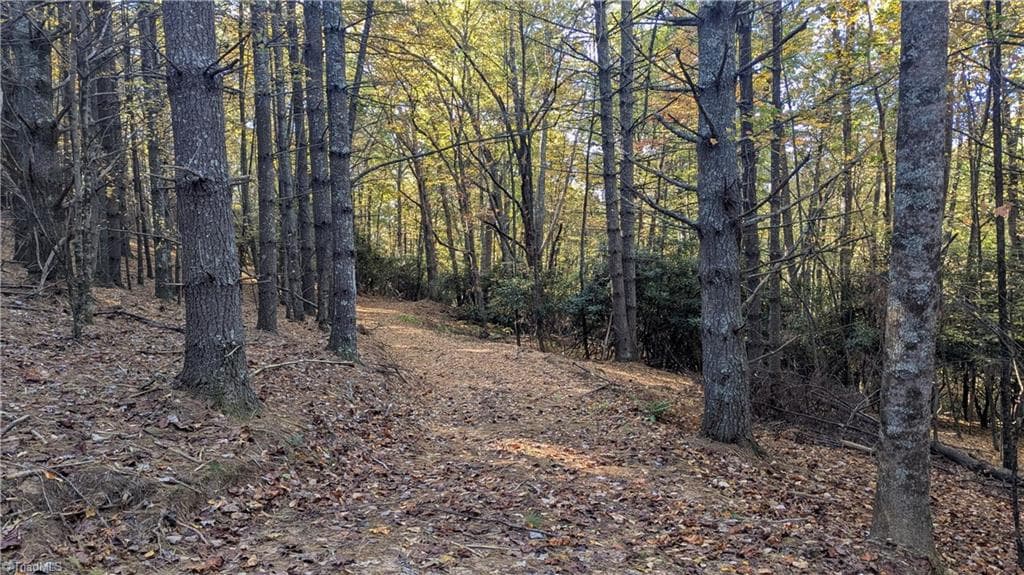 Unimproved Land at 000 NC Highway 16 S, Jefferson NC 28640, photo 16 of 25