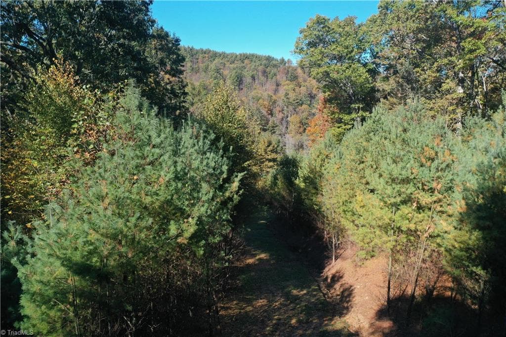 Unimproved Land at 000 NC Highway 16 S, Jefferson NC 28640, photo 3 of 25
