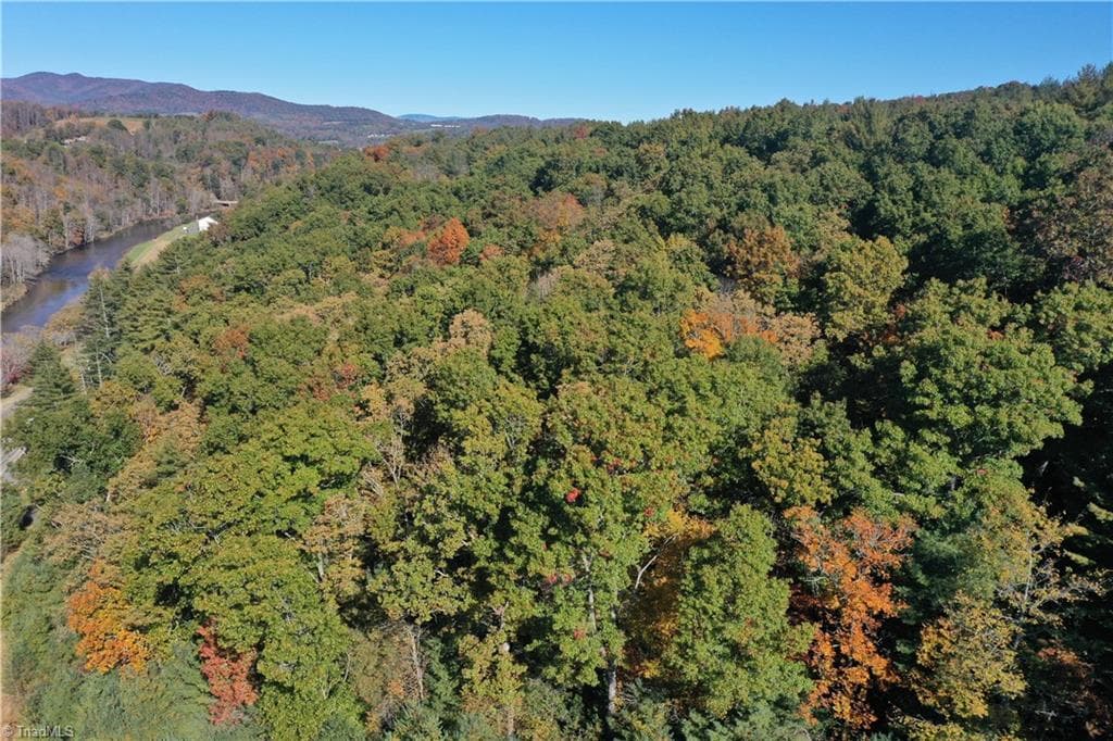 Unimproved Land at 000 NC Highway 16 S, Jefferson NC 28640, photo 5 of 25
