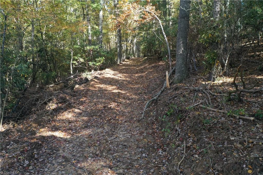 Unimproved Land at 000 NC Highway 16 S, Jefferson NC 28640, photo 10 of 25