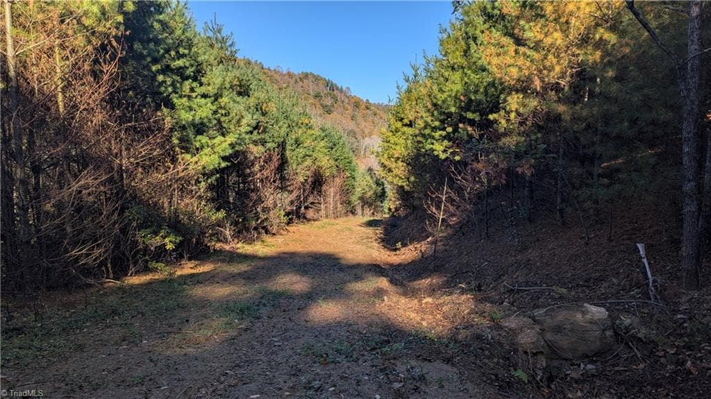 Unimproved Land at 000 NC Highway 16 S, Jefferson NC 28640, photo 14 of 25