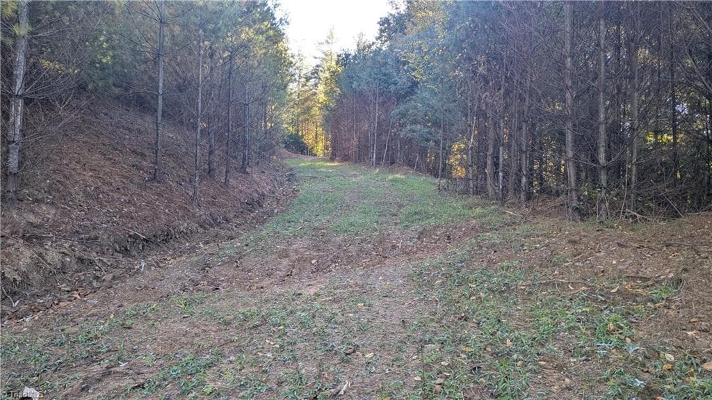 Unimproved Land at 000 NC Highway 16 S, Jefferson NC 28640, photo 15 of 25