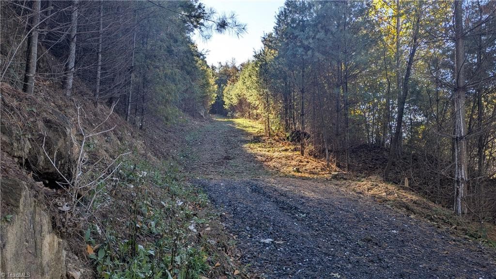 Unimproved Land at 000 NC Highway 16 S, Jefferson NC 28640, photo 11 of 25