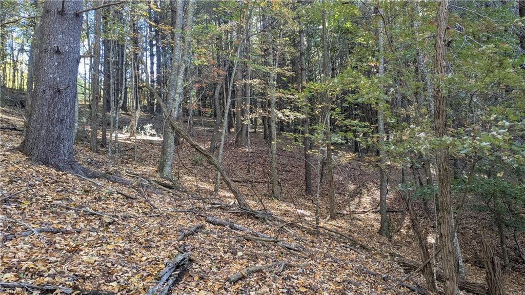 Unimproved Land at 000 NC Highway 16 S, Jefferson NC 28640, photo 21 of 25