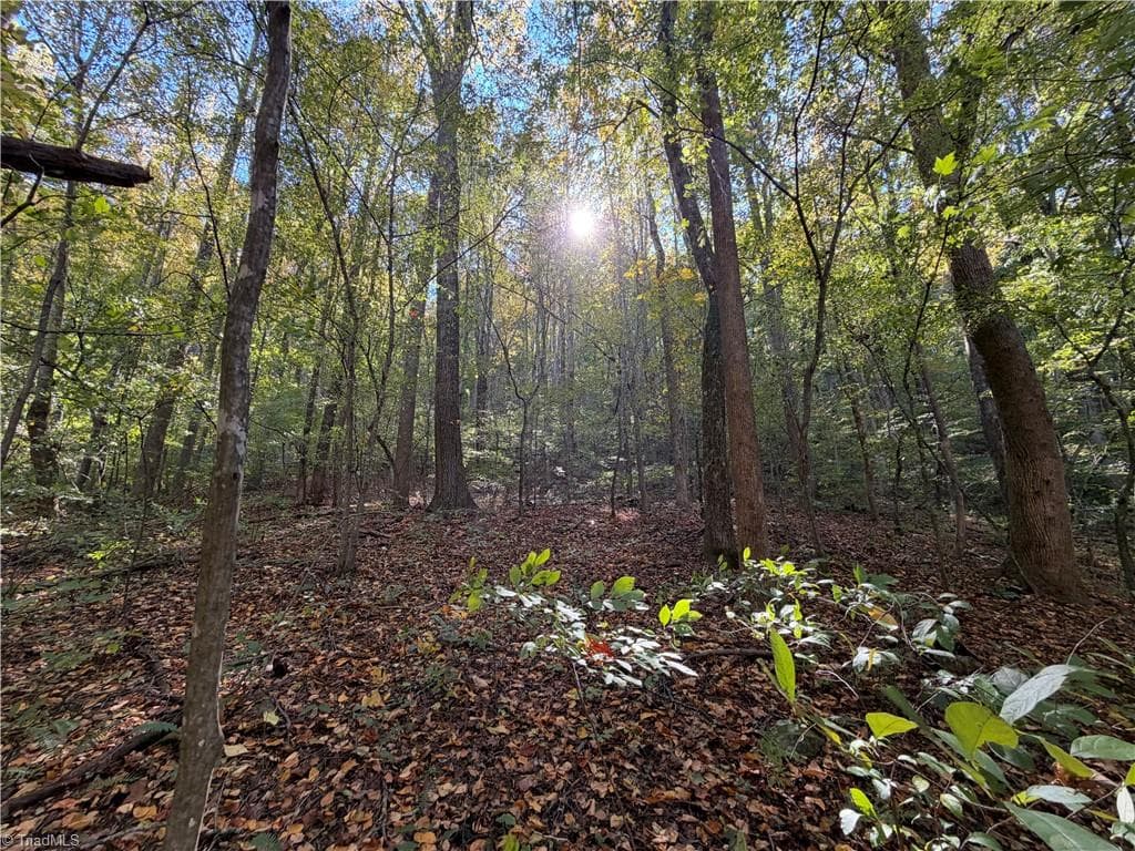 Unimproved Land at TBD Vannoy Ridge Road, Moravian Falls NC 28654, photo 23 of 46