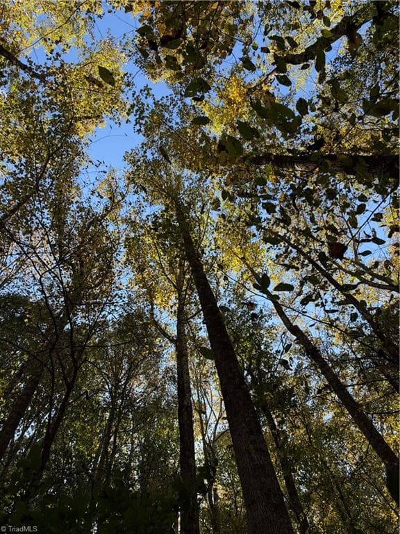 Unimproved Land at TBD Vannoy Ridge Road, Moravian Falls NC 28654, photo 27 of 46