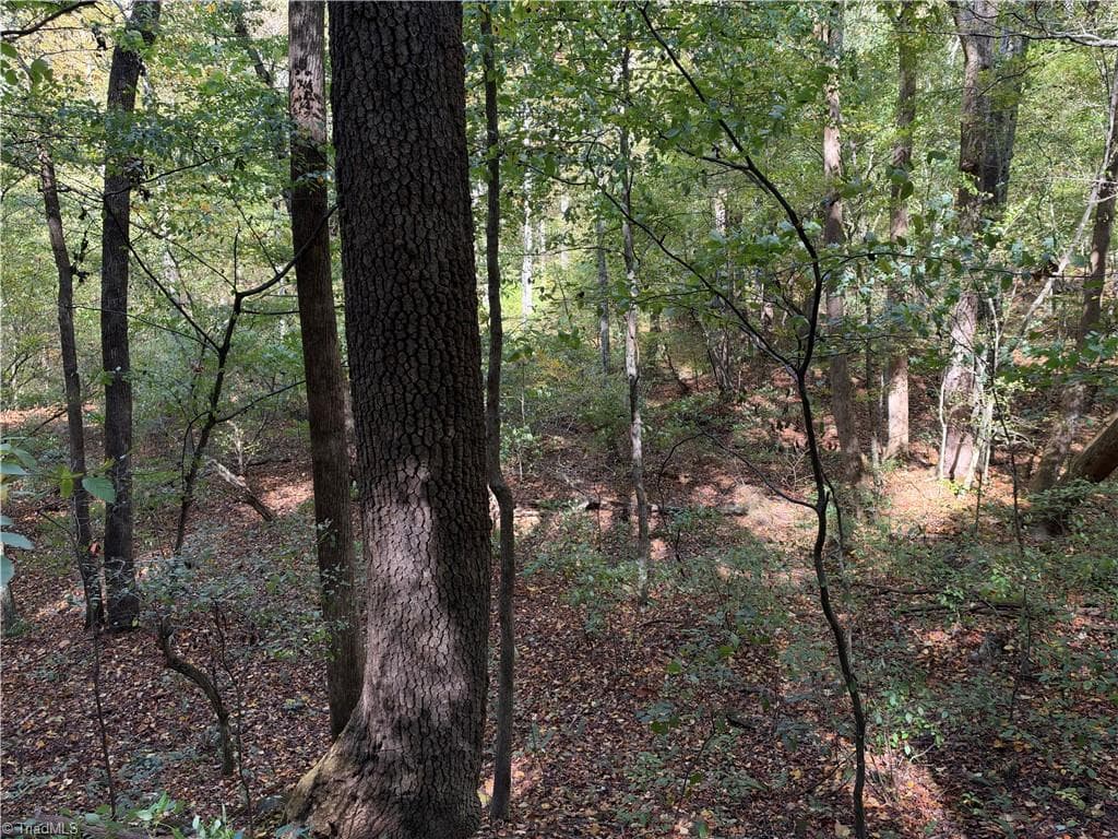 Unimproved Land at TBD Vannoy Ridge Road, Moravian Falls NC 28654, photo 17 of 46