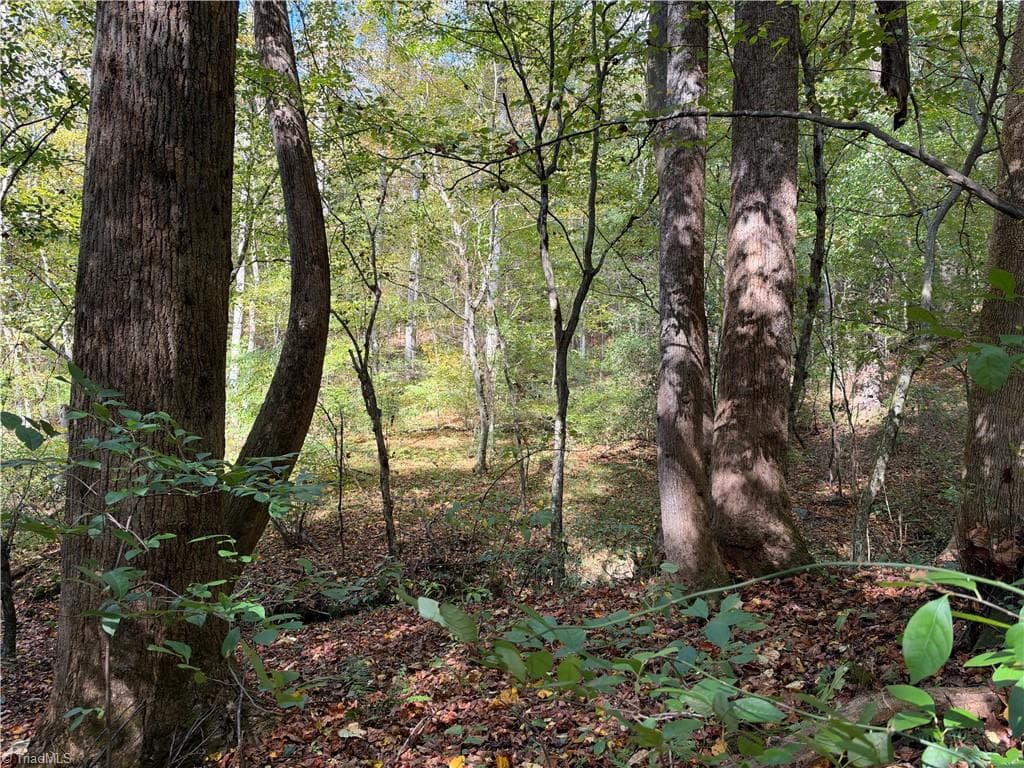 Unimproved Land at TBD Vannoy Ridge Road, Moravian Falls NC 28654, photo 12 of 46