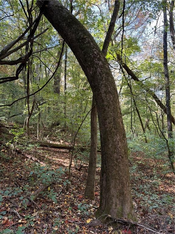 Unimproved Land at TBD Vannoy Ridge Road, Moravian Falls NC 28654, photo 22 of 46