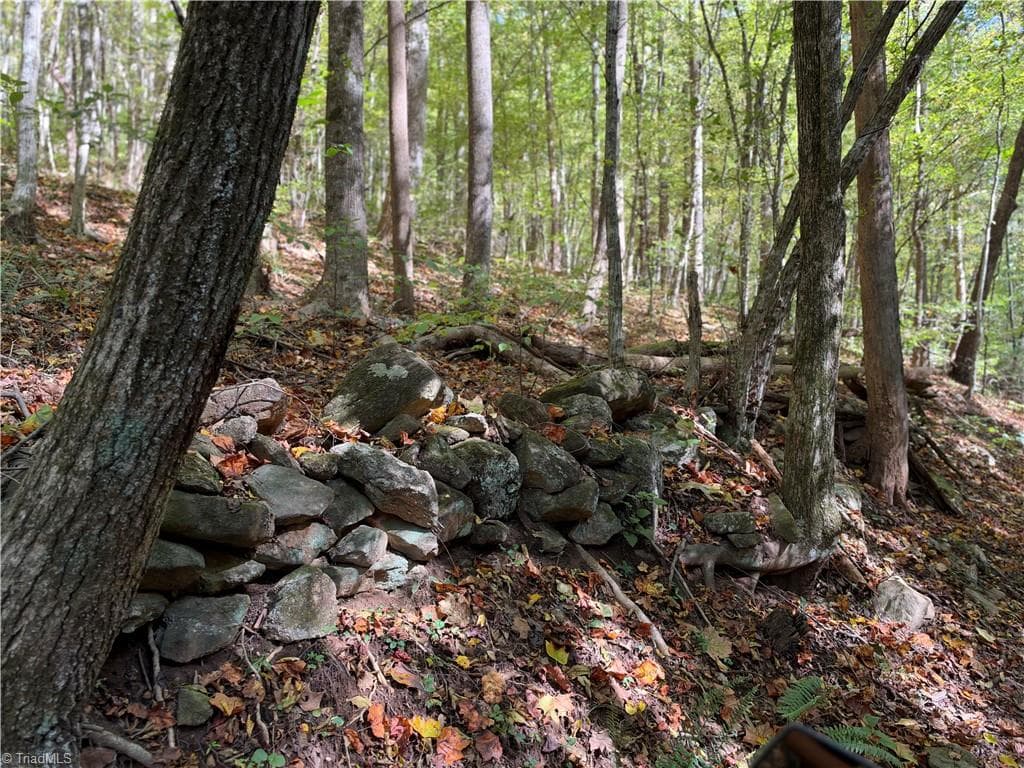 Unimproved Land at TBD Vannoy Ridge Road, Moravian Falls NC 28654, photo 7 of 46