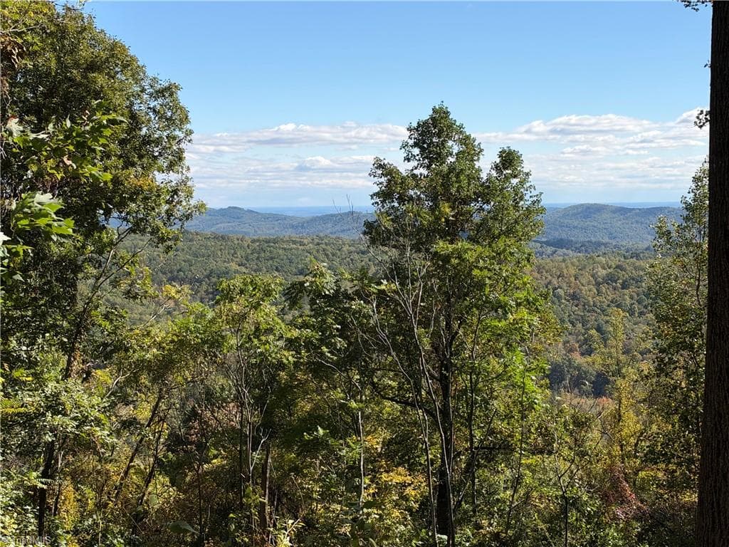 Unimproved Land at TBD Vannoy Ridge Road, Moravian Falls NC 28654, photo 3 of 46