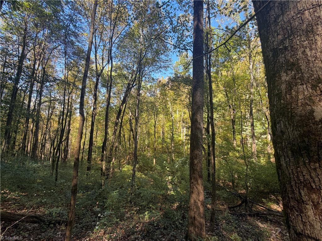 Unimproved Land at TBD Vannoy Ridge Road, Moravian Falls NC 28654, photo 36 of 46