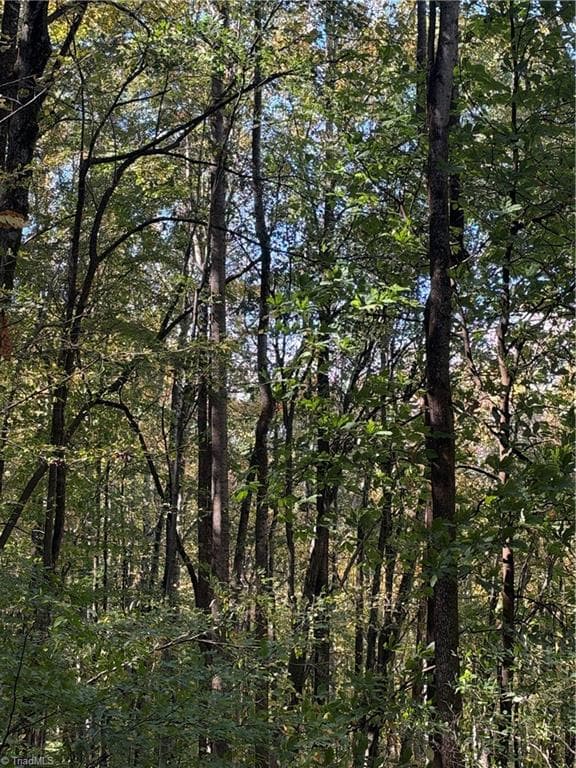 Unimproved Land at TBD Vannoy Ridge Road, Moravian Falls NC 28654, photo 32 of 46