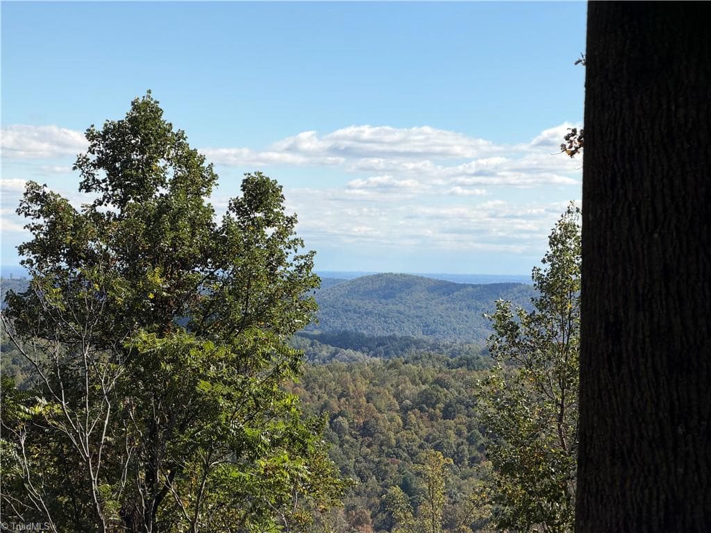 TBD Vannoy Ridge Road, Moravian Falls NC 28654